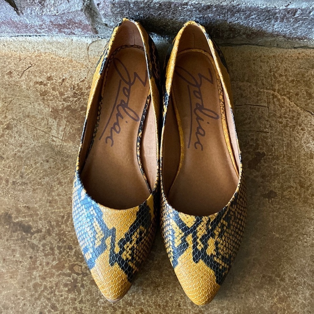 Zodiac Hill black and tan reptile snakeskin pointy toe flats